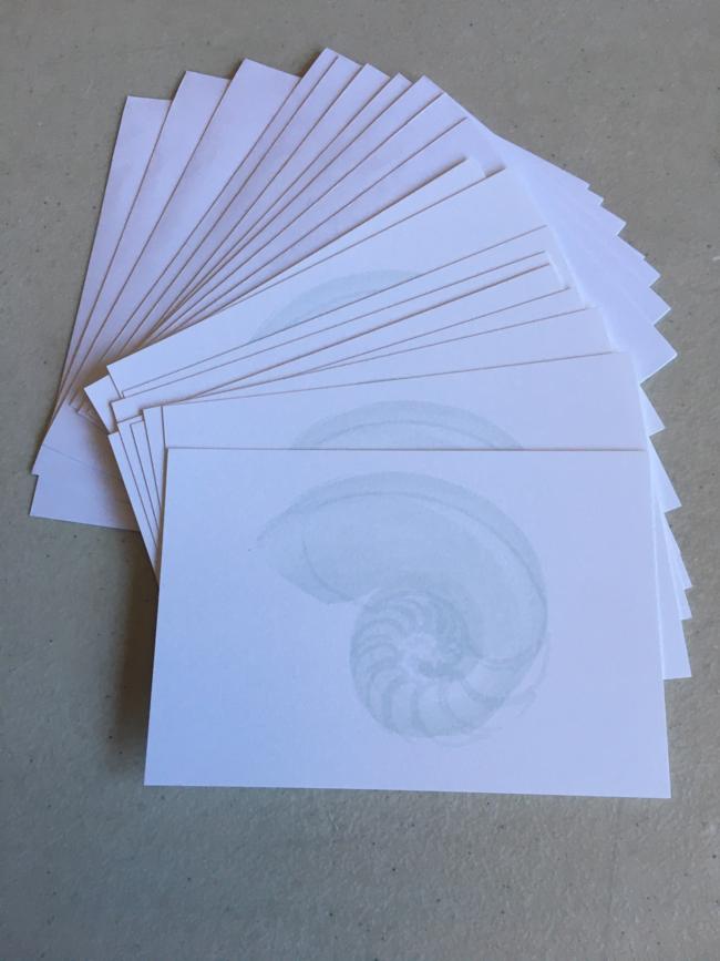 Nautilus Note Cards